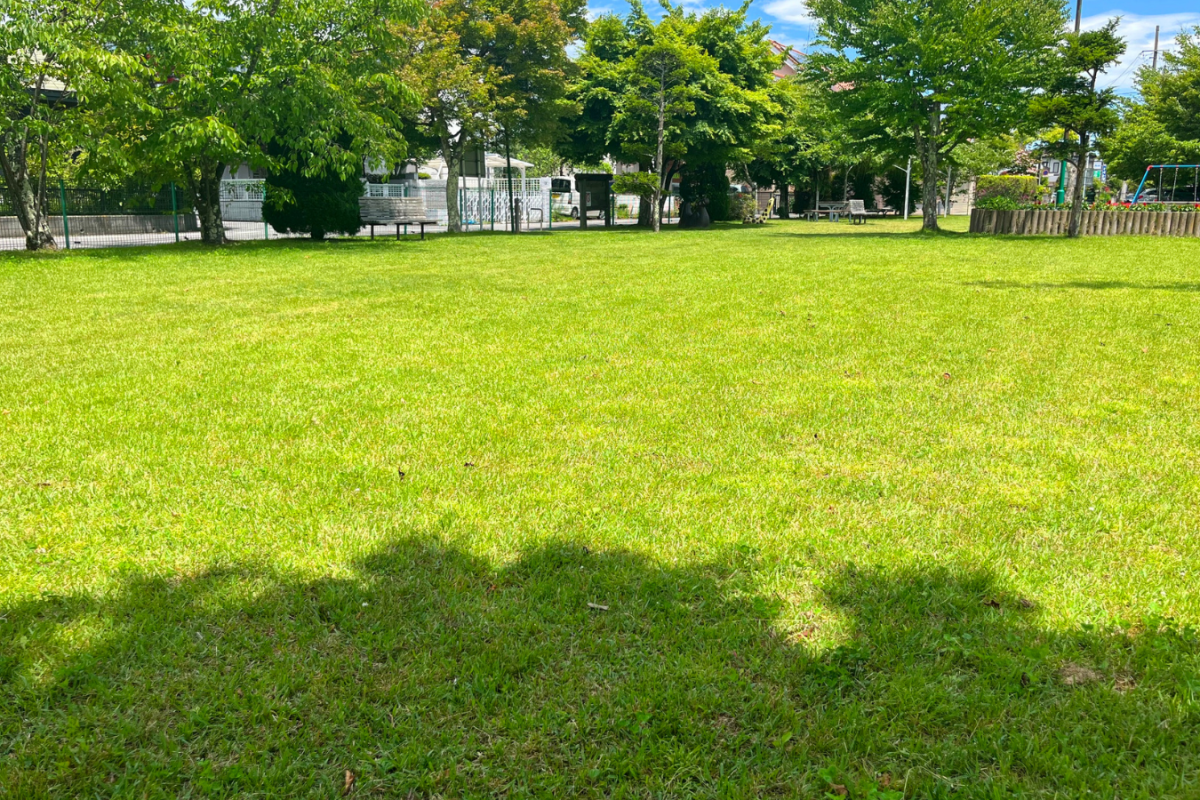 Landscaping & Yard Maintenance